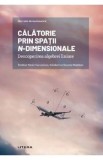 Mari idei ale matematicii. Calatorie prin spatii n-dimensionale - Esteban Ferrer Vaccarezza, Soledad Le Clainche Martinez