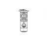 Supapa expansiune clima Mercedes C-Klasse (W204) 2007-2014, Clk-Klasse (W209) 2002-2010, Cls-Klasse (C219) 2004-2011, E Coupe (C207) 2009-, E Klasse, Mahle
