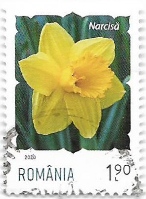 Flori (uzuale), 2020 - 1,90 L, obliterat foto