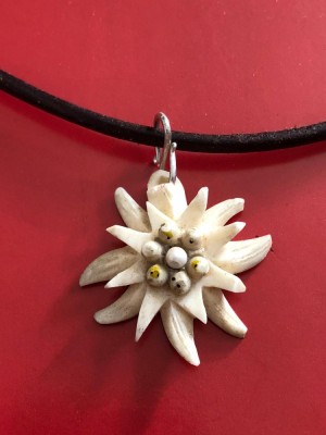 Medalion Din Os Floare De Colt Okazii Ro