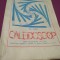 REVISTA CALEIDOSCOP 1/1982 NOU NICI UN REBUS COMPLETAT