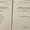 Sistematica filogenetica, anatomia comparata si zoogeografia vertebratelor - Bogdan Stugren vol.II si III