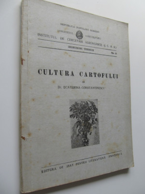 Cultura cartofului , 1952 - Ecaterina Constantinescu foto