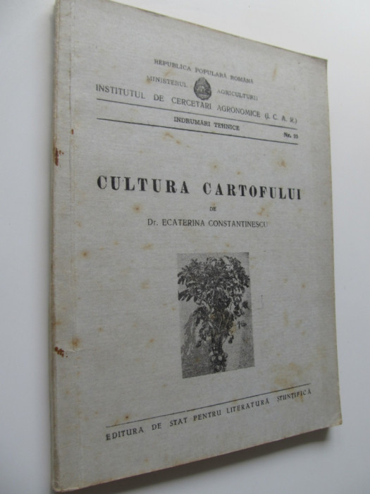 Cultura cartofului , 1952 - Ecaterina Constantinescu