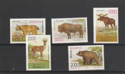 Fauna ,animale salbatice 1995 , Belarus. foto