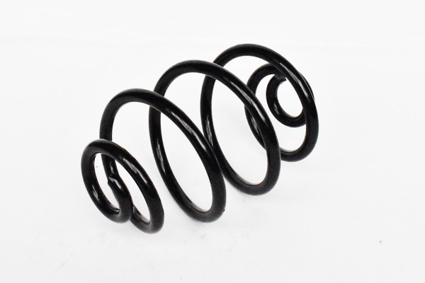 Arc Suspensie Spate 65862 NGH 02.03.007