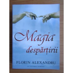 Florin Alexandru - Magia despartirii