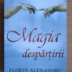 Florin Alexandru - Magia despartirii