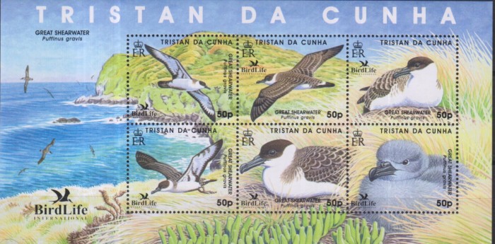 Lot de timbre cu păsări marine
