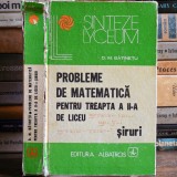 Probleme De Matematică Pentru Treapta A Ii-a De Liceu - Șiruri - Bătinețu