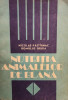 Nicolae Pastirnac - Nutritia animalelor de blana (1989)