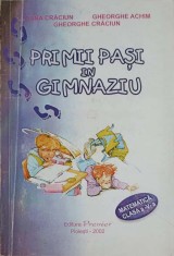 PRIMII PASI IN GIMNAZIU, MATEMATICA CLASA A V-A-IOANA CRACIUN, GHEORGHE ACHIM, GHEORGHE CRACIUN-244692