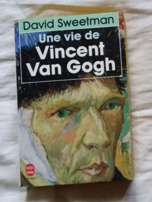 Une Vie de Vincent Van Gogh / David Sweetman foto