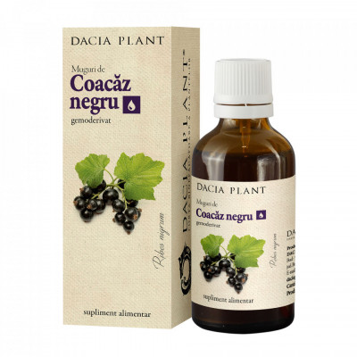 Coacaz-negru muguri 50ml dacia plant foto