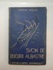 Svon de bucurii albastre - Mircea Vasiliu, Editura Cartea Romaneasca, Roman