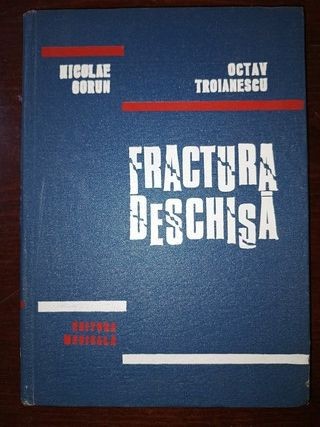 Fractura deschisa- Nicolae Gorun, Octav Troianescu