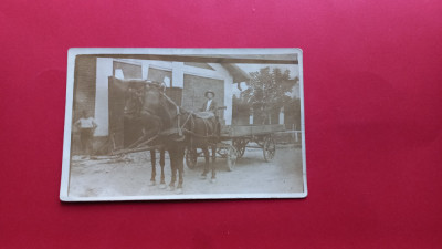 Bucuresti Caruta / Camion cu cai 1931 foto