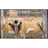 TURCIA 2025 FAUNA PASARI CIOCANITORI