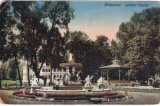 Kolozsvar. Setateri rezslet (circulata 1920)