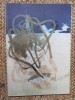 Corneliu Vasilescu - Catalog Expozitie ULEIURI GUASE 1980-1993 - Album Arta