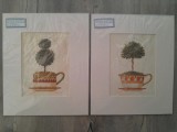 Portobello Road Prints Gloria Eriksen Topiary in a tea cup tablou printat vechi vintage original