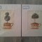 Portobello Road Prints Gloria Eriksen Topiary in a tea cup tablou printat vechi vintage original