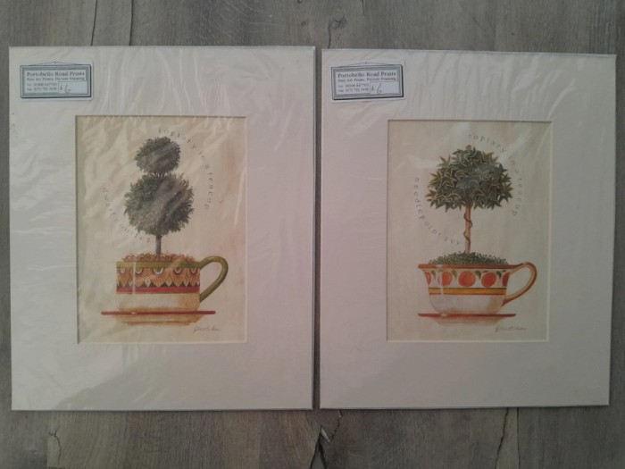 Portobello Road Prints Gloria Eriksen Topiary in a tea cup tablou printat vechi vintage original