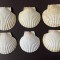 6 cochilii, scoici mari Saint Jacques pentru servit caviar sau fructe de mare