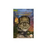 What Is the Story of Frankenstein?