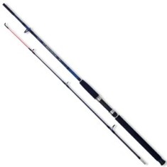Lanseta Somn LINEAEFFE Caspian Pro Rod 2.10m, 100-250g, 2seg foto