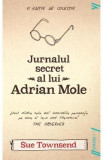 Jurnalul secret al lui Adrian Mole - Sue Townsend
