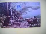 HOPCT MAXIMA NR 511 K CASTORUL ANIMAL NATIONAL 1954 -FAUNA CANADA