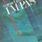 Impas - Corneliu Omescu