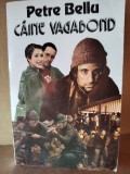 Petre Bellu &ndash; Caine vagabond