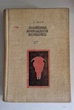 Anatomia animalelor domestice - V. Ghetie