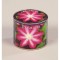 Kit Gradinarit Metal Clematis I 1 buc