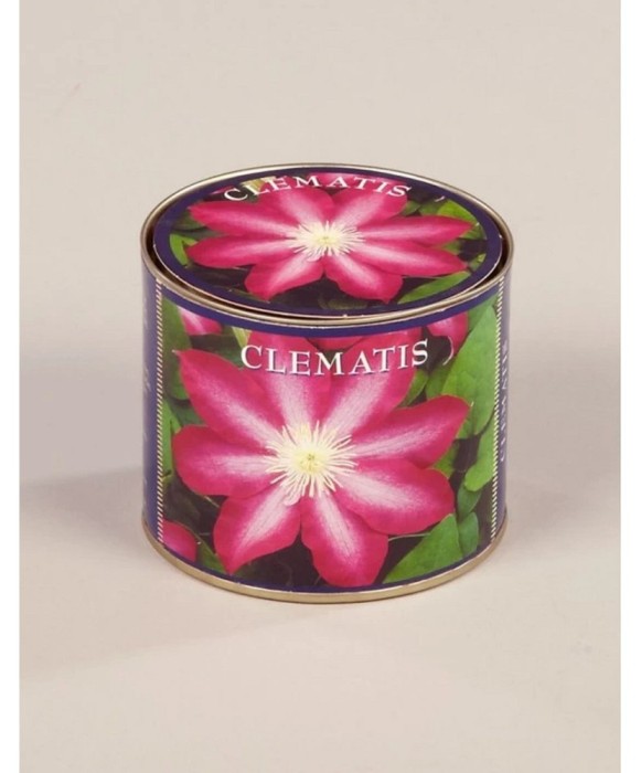 Kit Gradinarit Metal Clematis I 1 buc