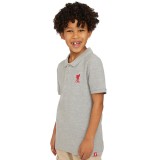 FC Liverpool tricou polo de copii grey - 7/8 let