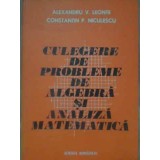 CULEGERE DE PROBLEME DE ALGEBRA SI ANALIZA MATEMATICA-ALEXANDRU V. LEONTE, CONSTANTIN P. NICULESCU-282296