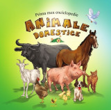 Animale domestice |, Aquila