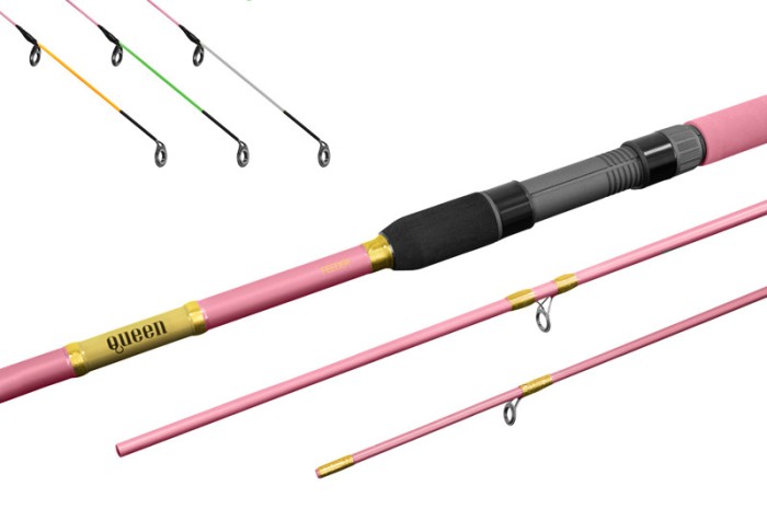 Delphin Lansetă QUEEN Feeder 3,30m/100g 3 tronsoane
