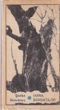 Stefan Banulescu - Iarna barbatilor, Editura Pentru Literatura, Roman, 1966, 230 pagini, brosata, stare buna