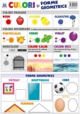 Plansa culori si forme geometrice - Editura Didactica Publishing House