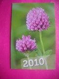 HOPCT 11640 FLORI / PLANTE MEDICINALE -FARMACIE BELGIA- CALENDAR DE BUZUNAR -2010 - ROMANIA-NECIRCULATA
