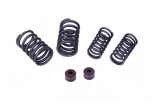 Arcuri Supape Scuter First Bike 4T 49cc 50cc 80cc TMMP - Piese Moto, Bloc Motor, Supape