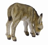 Manz la pascut - collecta