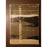 Gh. Costache - Forajul hidrogeologic (1963)