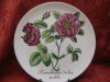 FARFURIE DECORATIVA CERAMICA / MAJOLICA KARLSRUHE BOTANICA - TRANDAFIRI 27 CM