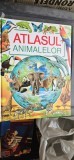 ATLASUL ANIMALELOR , EDITURA CORINT JUNIOR .