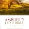 Amplified Bible-Am: Captures the Full Meaning Behind the Original Greek and Hebrew